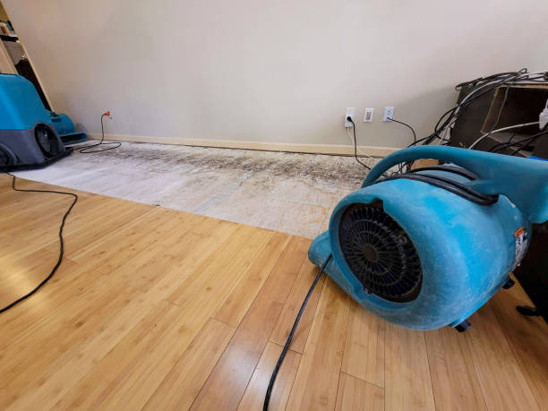 Professional Water Removal technician working in Little Hocking, OH